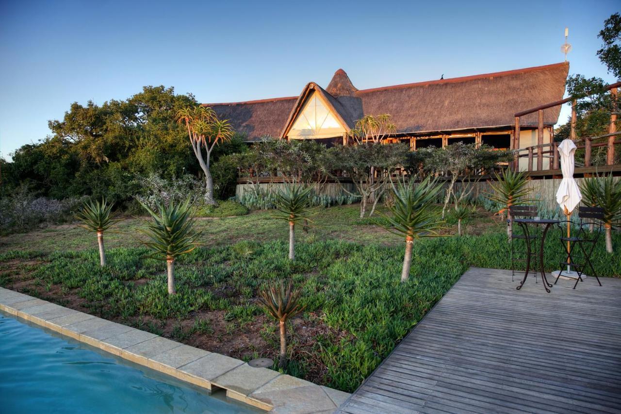 Bush - Luxury tent